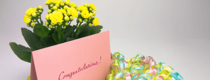 Congratulations - Yaward.net
