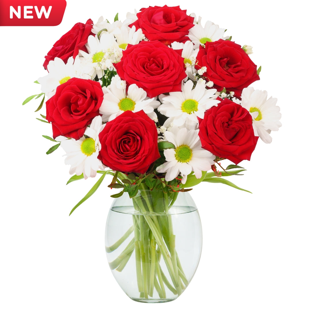 Velvet Glow — red and white roses bouquet for anniversary delivery Egypt Main image
