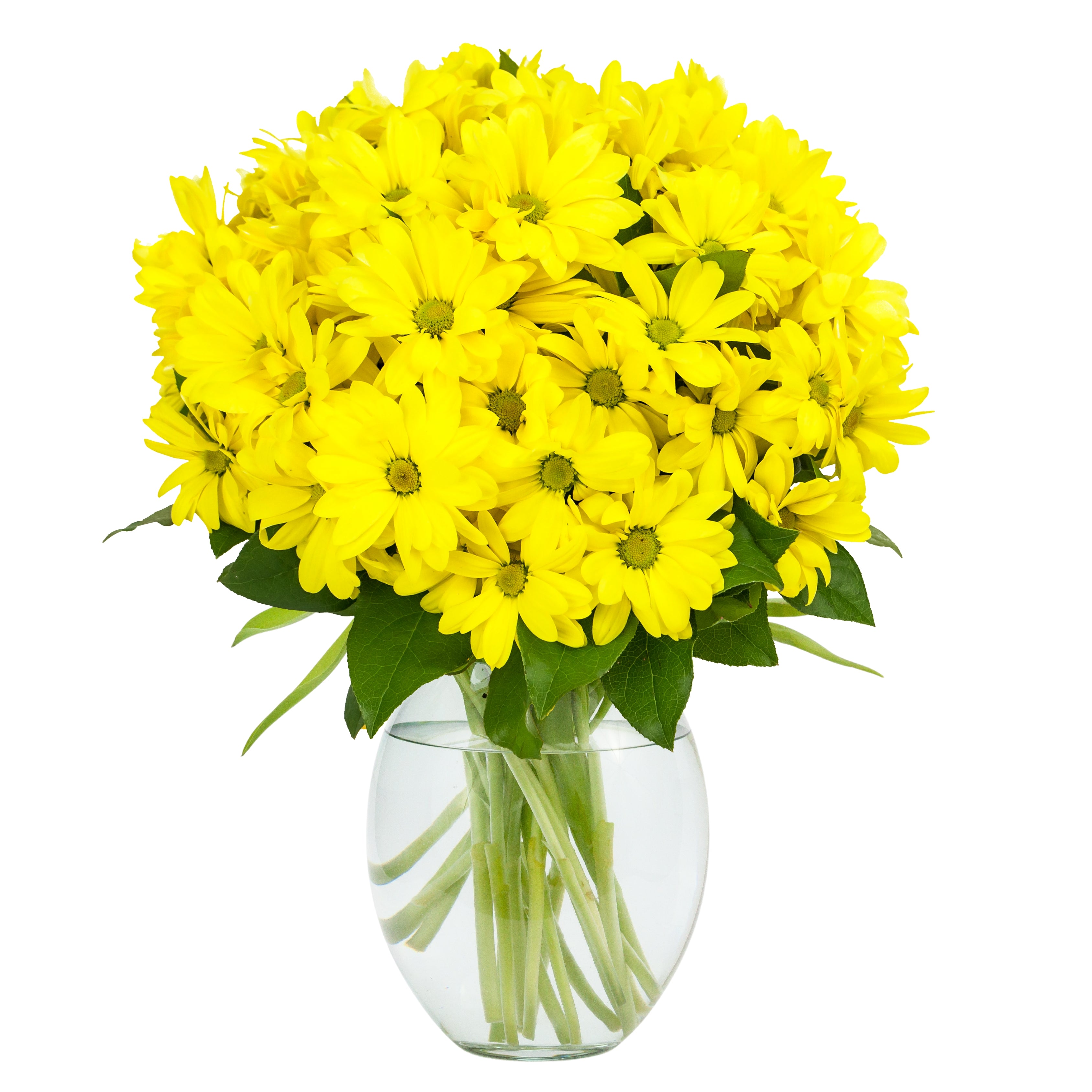 Golden Whispers — yellow chrysanthemum bouquet for get-well delivery Egypt Main image