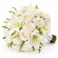 Pure Ivory — pristine white roses bouquet for wedding delivery in Egypt