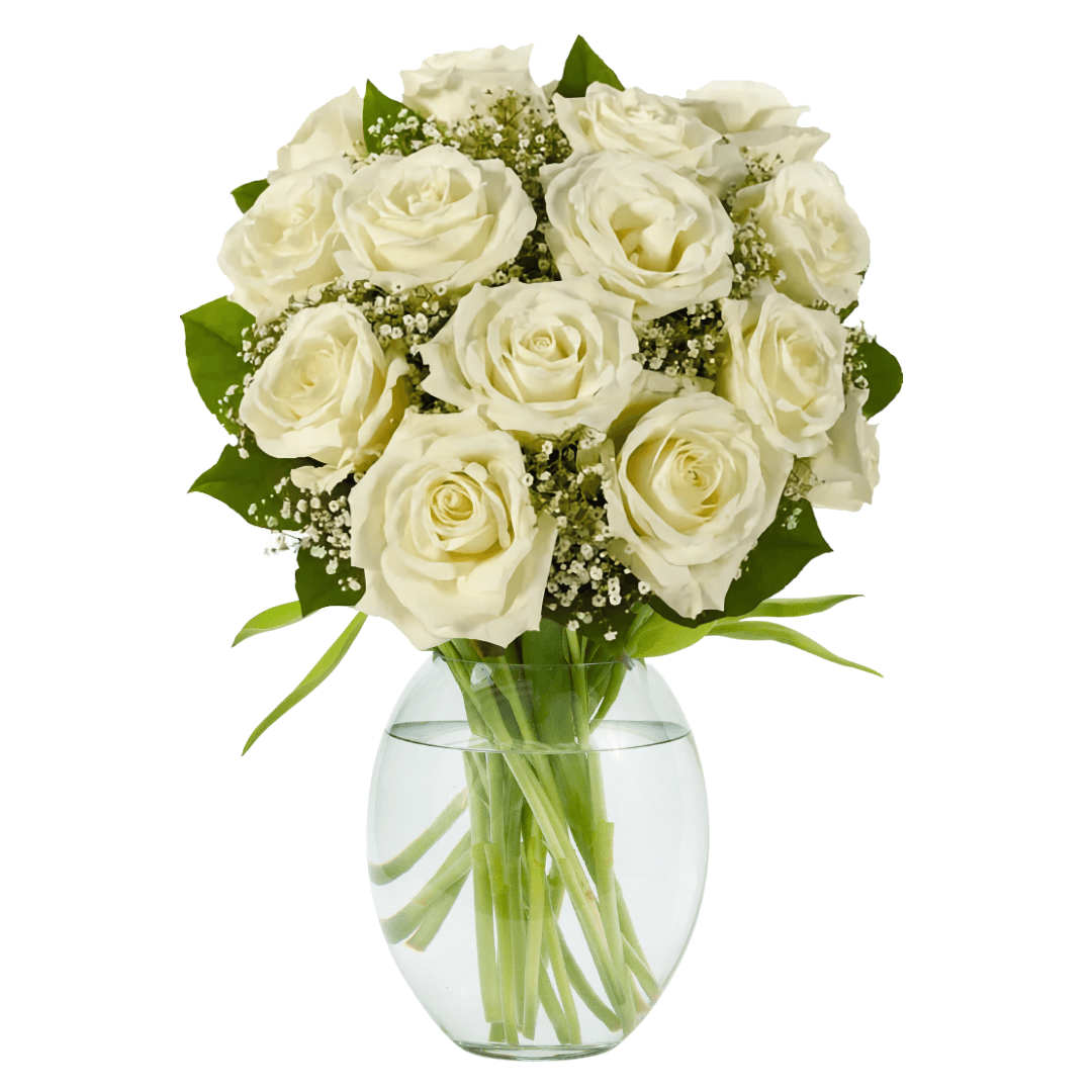 Golden Edge — white roses with baby's breath for wedding delivery Egypt